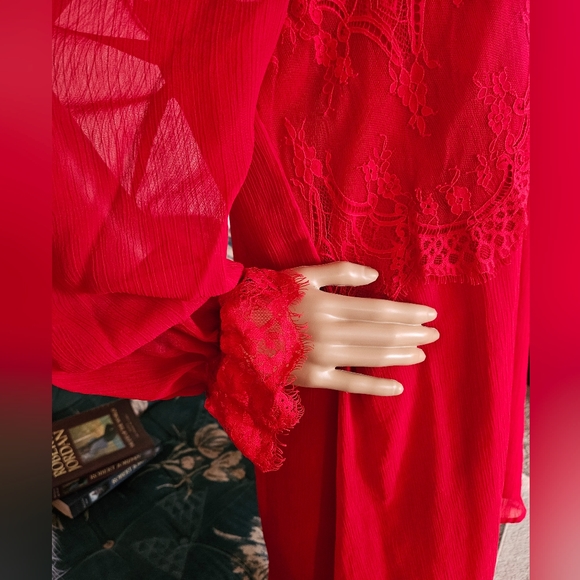 Lace Red Sheer Boxy Shaped Long Sleeved Floral Dress - Romantic Elegance - Picture 4 of 12